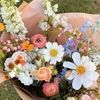 casadeflor